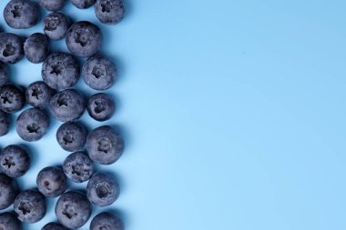 Mavi arka planda olgun taze yaban mersinleri