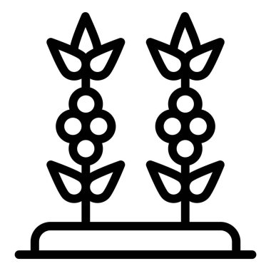 Kahve Bitkisi Vektör Simgesi Tasarım Çizimi