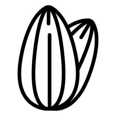 Ceviz Vektörü Simgesi Tasarım Çizimi