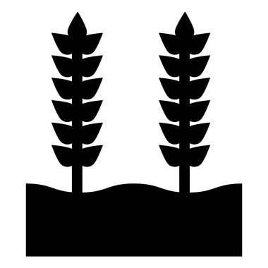 Buğday Tanesi Vektör Simgesi Tasarım Çizimi