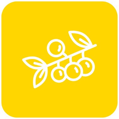 Böğürtlen Vektörü Simgesi Tasarım İllüstrasyonu