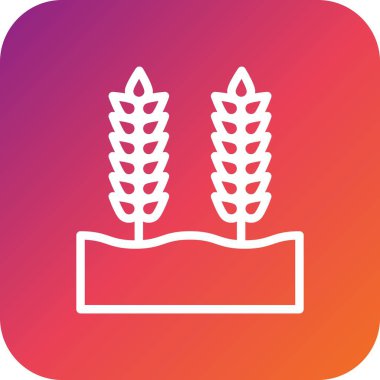 Buğday Tanesi Vektör Simgesi Tasarım Çizimi