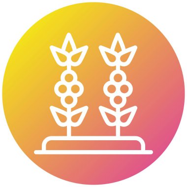 Kahve Bitkisi Vektör Simgesi Tasarım Çizimi