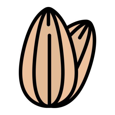 Ceviz Vektörü Simgesi Tasarım Çizimi