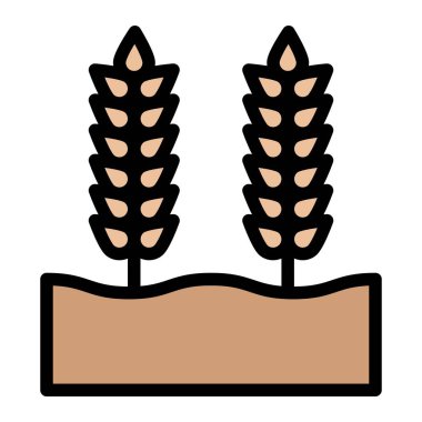 Buğday Tanesi Vektör Simgesi Tasarım Çizimi