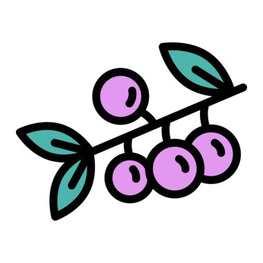 Böğürtlen Vektörü Simgesi Tasarım İllüstrasyonu