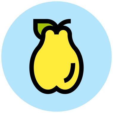 Quince Vektör Simgesi Tasarım İllüstrasyonu