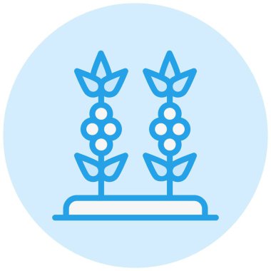 Kahve Bitkisi Vektör Simgesi Tasarım Çizimi