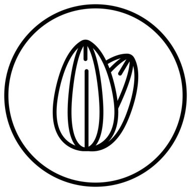 Ceviz Vektörü Simgesi Tasarım Çizimi