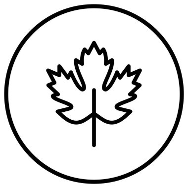 Akçaağaç Vektör Simgesi Tasarım İllüstrasyonu