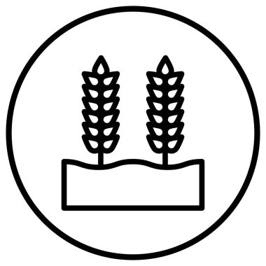 Buğday Tanesi Vektör Simgesi Tasarım Çizimi
