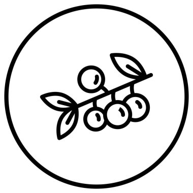 Böğürtlen Vektörü Simgesi Tasarım İllüstrasyonu