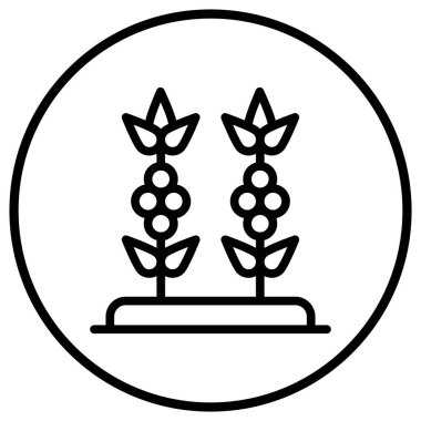 Kahve Bitkisi Vektör Simgesi Tasarım Çizimi