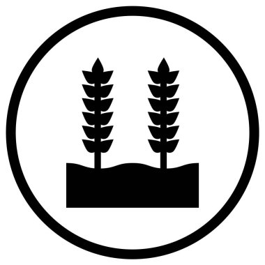 Buğday Tanesi Vektör Simgesi Tasarım Çizimi