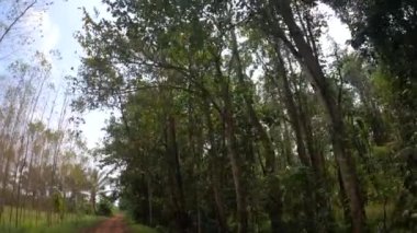 View 4x4 off road toprak bir yolda koşuyor. Kirli yolda çamurlu, ıslak ve kuru çamurla hareket eden off-road kamyon tekerlekleri. Bakış açısına göre 4WD kamyon lastiği taşrada seyahat ediyor.