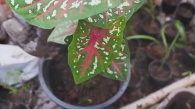 Drone, Fütürist İHA ile hava görüntüleme manzarası çekti. Ekran arayüzü başı yukarı