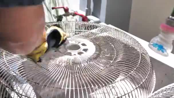 Mano Gente Limpiando Una Parrilla Ventilador Eléctrico Lavar Retirar Polvo — Vídeos de Stock