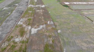 Drone kırsal köy kırsalındaki tarımın manzaralı görüntüsünü çekti.