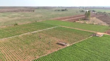 Drone shot aerial view scenic landscape of agriculture farm in the countryside, Rural natural place