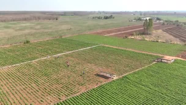 Drone Shot Aerial View Scenic Landscape Agriculture Farm Countryside Rural — Vídeos de Stock