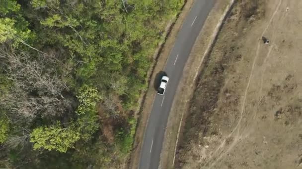 ドローンは 無人地元の道路でピックアップトラックを運転する空中ビュー風景を撮影しました — ストック動画