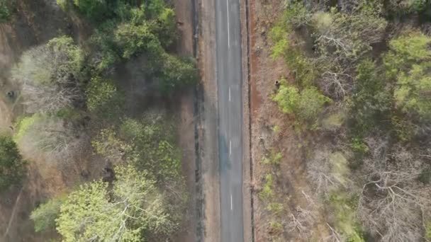 Drone Πυροβόλησε Εναέρια Άποψη Γραφικό Τοπίο Της Ερειπωμένο Τοπικό Δρόμο — Αρχείο Βίντεο