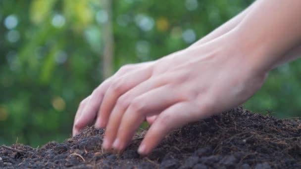 Handen Van Mensen Jonge Planten Groeien Grond Het Planten Van — Stockvideo