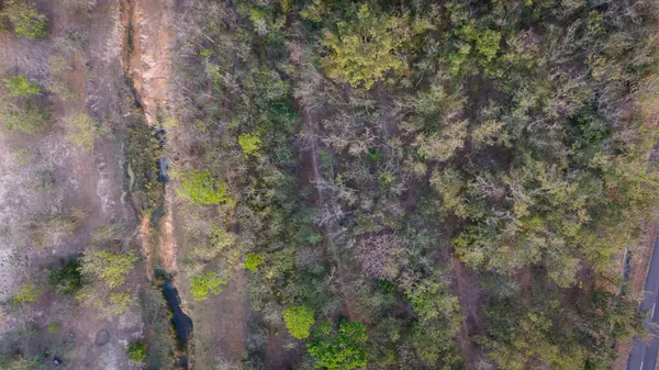 Αεροφωτογραφία Του Δάσους Τροπικό Αγροτικό Τοπίο Περίοδο Ξηρασίας — Φωτογραφία Αρχείου
