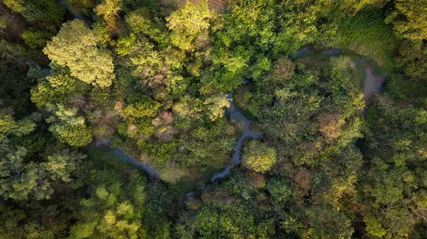 Vista Aérea Floresta Uma Paisagem Rural Tropical Uma Estação Seca — Fotografia de Stock