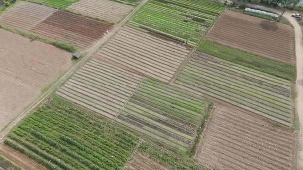 Drone Împușcat Peisaj Pitoresc Vedere Aeriană Agriculturii Satul Rural Ținut — Videoclip de stoc