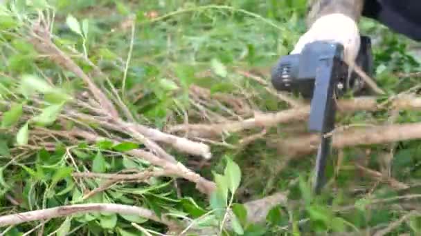 Jardineiro Usa Serra Elétrica Para Podar Árvore — Vídeo de Stock