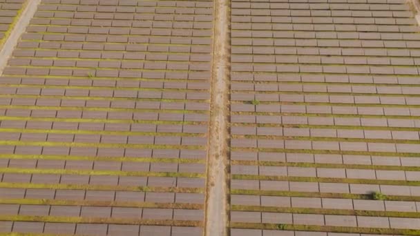 Imágenes Drones Paisaje Escénico Paneles Solares Una Granja Solar Producción — Vídeos de Stock