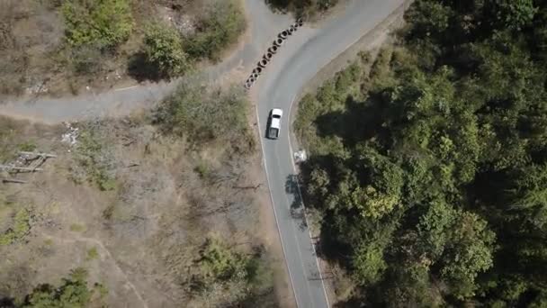 Drohnenaufnahmen Luftaufnahme Malerische Landschaft Des Fahrens Pickup Truck Verlassen Straße — Stockvideo