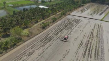Yavaş çekim Drone görüntüsü. Bir traktör pirinç tarlasında su ve çamurla toprağı sürüyor.