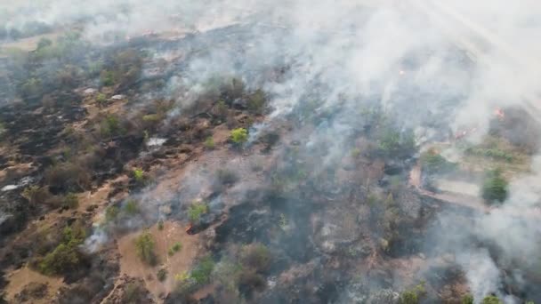 Imagens Drones Vista Aérea Paisagem Cênica Incêndio Florestal Está Queimando — Vídeo de Stock