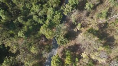 Drone 'un hava görüntüsü kurak mevsimde kırsal alanda terk edilmiş kamyonet yolu manzarası.