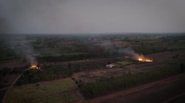 Orman yangınlarının hava manzaralı manzarası kurak mevsim çayırlarını yakıyor. Yanan şeker kamışı