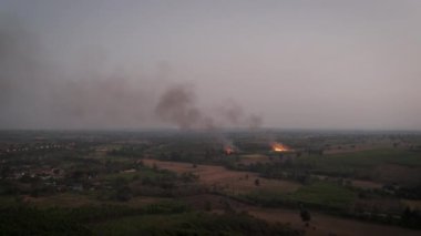 Orman yangınlarının hava manzaralı manzarası kurak mevsim çayırlarını yakıyor. Yanan şeker kamışı