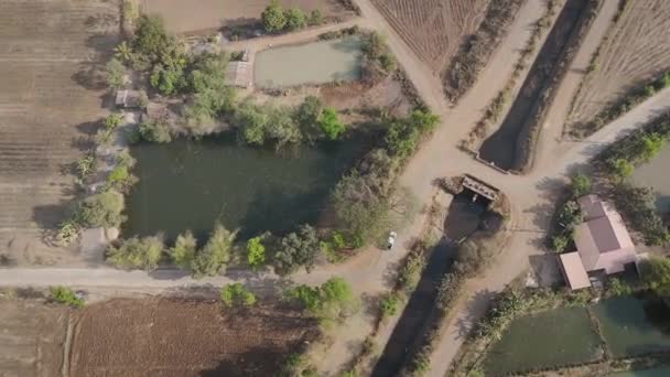Zdjęcia Dronów Widok Lotu Ptaka Malowniczy Krajobraz Jazdy Pickup Opuszczone — Wideo stockowe