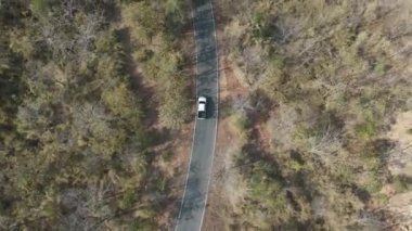 Drone 'un hava görüntüsü kurak mevsimdeki ıssız yolda arabayı sürüşün manzarası.