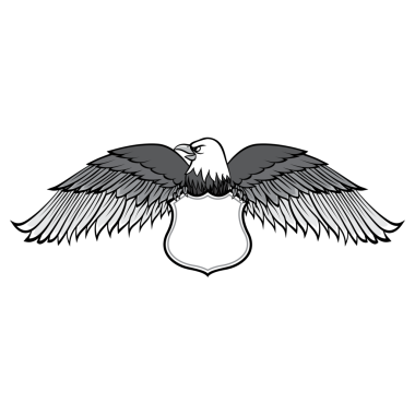 Kartal ile boş çerçeve