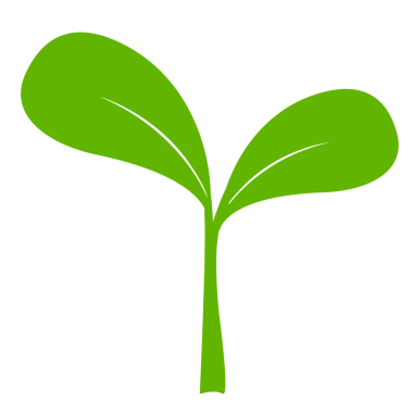 Küçük çekim yeşil bitki tasarım elementi