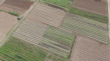 Kırsal bölgedeki tarım çiftliğinin manzaralı manzarası