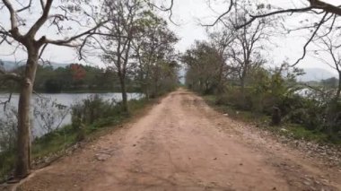 Bakış açısı uçarken ağaçların arasından geçer.