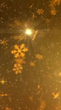 Dikey görüntüler kar animasyon videosu şablonu örtüyor. Güzel yağan kar, bir kış gecesinde pırıl pırıl parlayan kar, Noel 'i ve yeni yılı kutluyor.