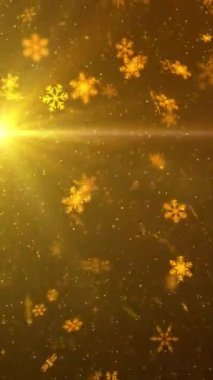 Dikey görüntüler kar animasyon videosu şablonu örtüyor. Güzel yağan kar, bir kış gecesinde pırıl pırıl parlayan kar, Noel 'i ve yeni yılı kutluyor.