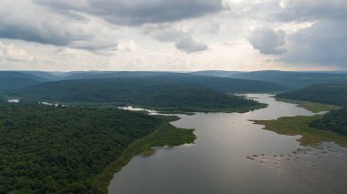 İHA atışı. Tropikal Asya bölgesindeki yemyeşil bir ormanın ortasında geniş bir nehir deltasının havadan manzarası.