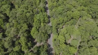 Drone 'un hava görüntüsü kurak mevsimde kırsal alanda terk edilmiş kamyonet yolu manzarası.