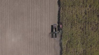 Traktörlerin ve kamyonların şeker kamışını şeker yapmak için çiftlikte topladıkları drone görüntüleri. Yanmadan çiftçilik yapmak