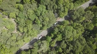 Kırsal bir yolda kırsal araziden geçen bir kamyonetin hava aracı görüntüsü. Doğada seyahat, ulaşım ve özgürlüğün manzaralı görüntüsü